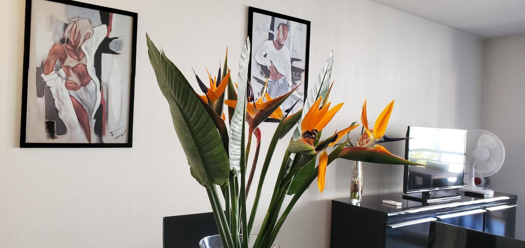 Cesaree Borghese, Port Frejus, Grand 2-3 Pieces, 4 Appartement *