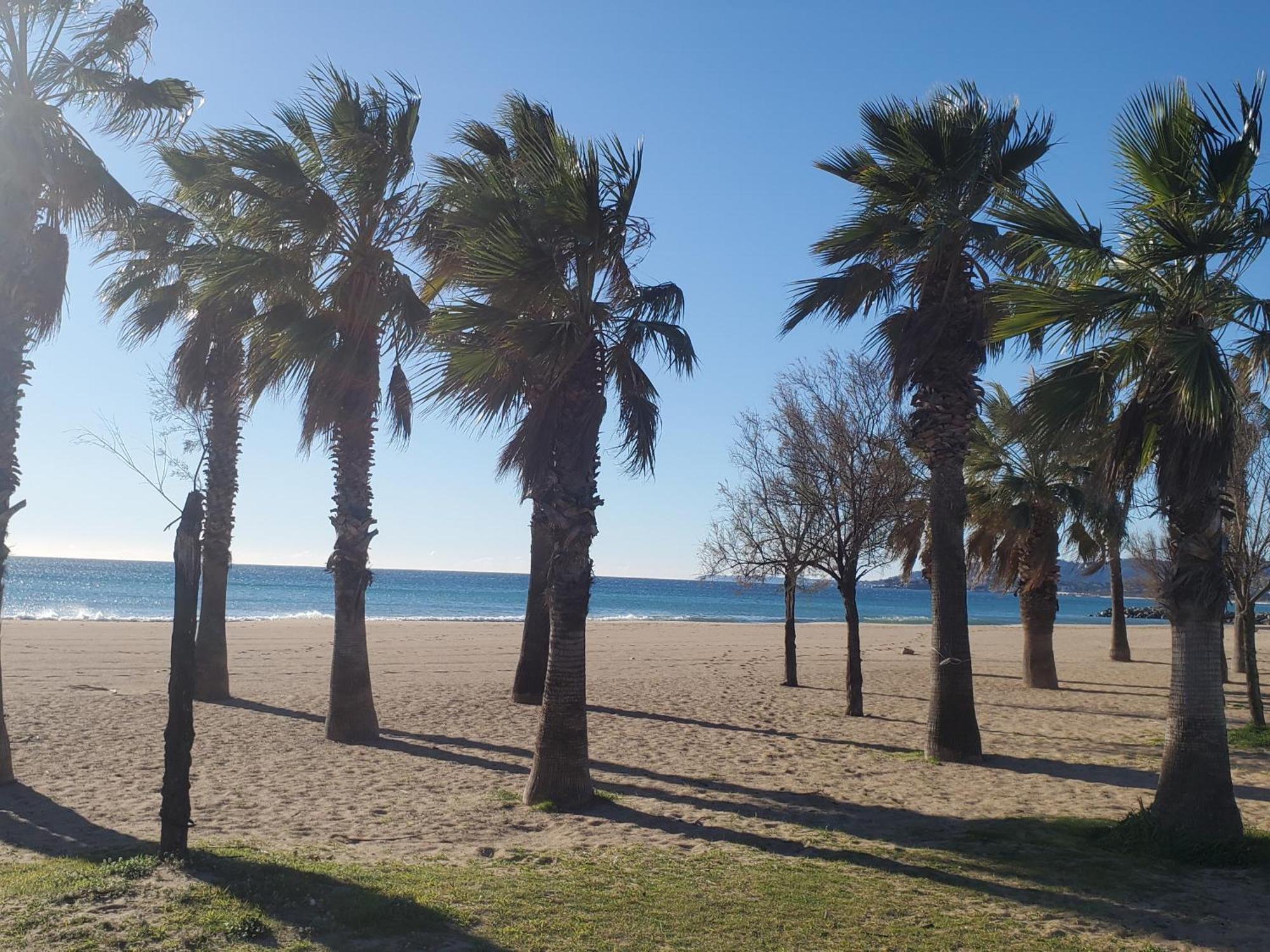 Cesaree Borghese, Port Frejus, Grand 2-3 Pieces, 4 Fréjus
